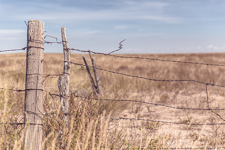 barbwire fence thumbnail