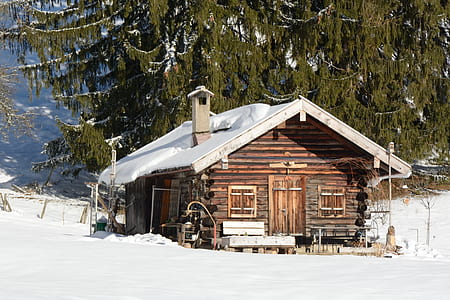 brown house surrounded by trees coated with snow thumbnail