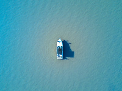 aerial photo of white ship on body of water thumbnail