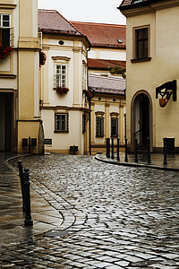 wet curved road between concrete buildings thumbnail