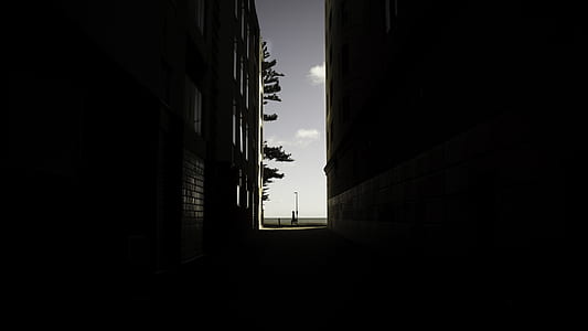 building, window, architecture, shadow thumbnail