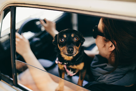 Woman in the car thumbnail