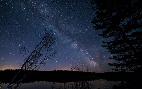 silhouette of trees during night thumbnail
