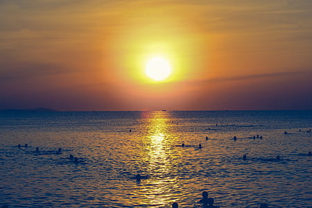 Silhouette of People Swimming in the Ocean During Sunset thumbnail