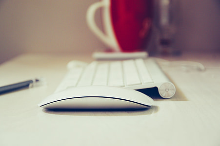 shallow focus photography of apple magic mouse and apple wireless keyboard thumbnail