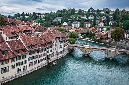 brown roofed buildings near river thumbnail