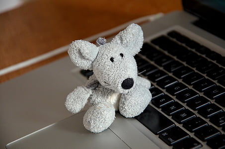 gray ray plush toy on laptop computer thumbnail