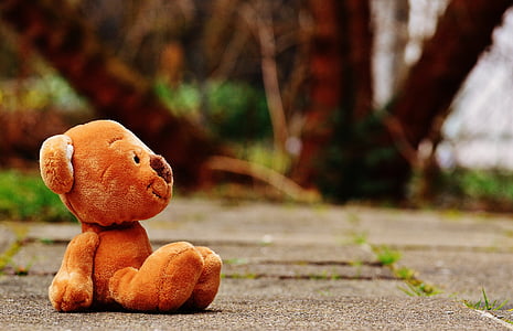 rule of thirds photography of brown bear plush toy on gray concrete ground thumbnail