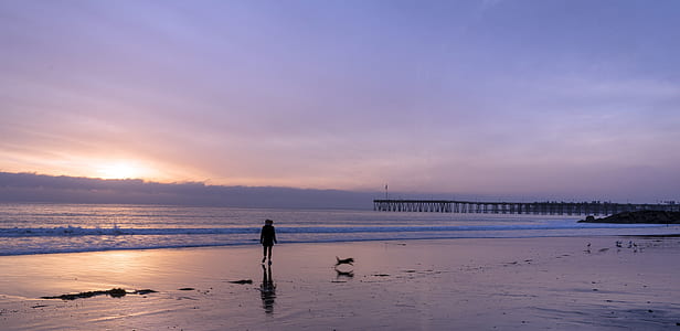 silhouette of person standing on beach thumbnail