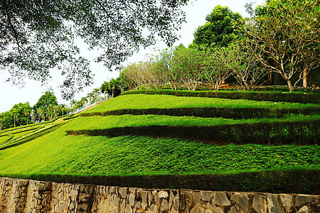 Timelapse Photo of Layered Green Grass Field thumbnail