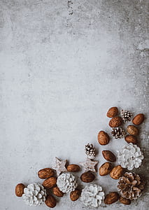 brown and white seeds and pine cones decors on gray pavement thumbnail