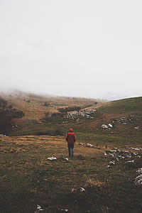 man walking on green and brown grass field thumbnail