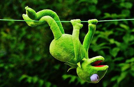 green Kermit the Frog hanging on string thumbnail