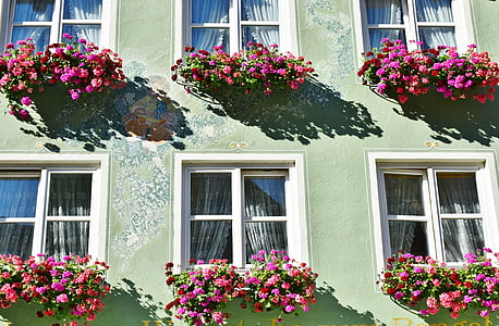 pink flower pots on window thumbnail