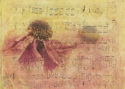 Music Note Sheet thumbnail