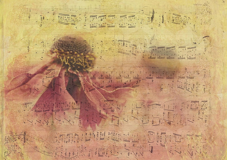 Music Note Sheet