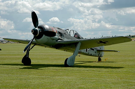 silver and black monoplane on grass field thumbnail