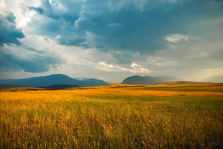grass covered field near the mountains during day thumbnail