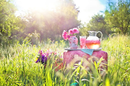 pink petaled flowers thumbnail