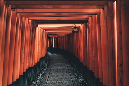 brown and gray hallway thumbnail