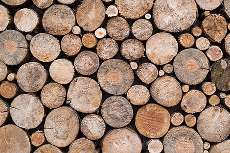 brown wooden stumps thumbnail