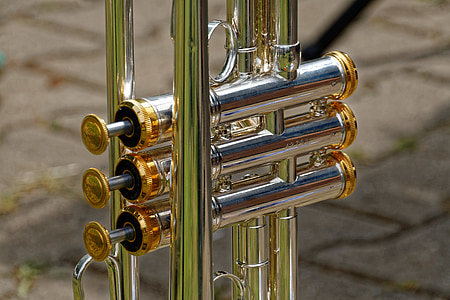 silver and gold trumpet knob thumbnail