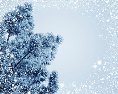 photography of tree thumbnail