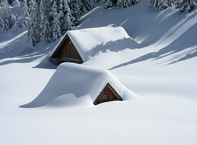 Brown Wooden House Covered With Snow Near Pine Trees thumbnail