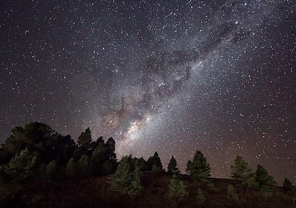 green leaf trees under white stars at night time thumbnail