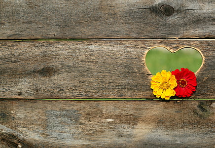 yellow and red flower hanging on brown wooden board thumbnail