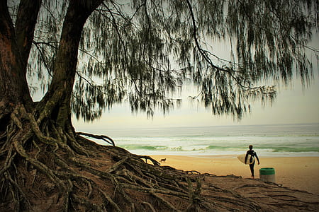 person holding surfboard walking on the seashore thumbnail