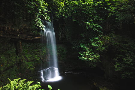waterfalls surrounded by trees thumbnail