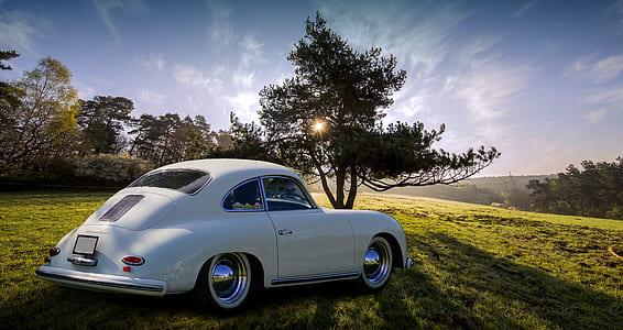 classic white hardtop coupe on grass near tree during daytime thumbnail