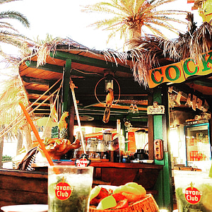 brown and green wooden food stall near coconut palm trees thumbnail
