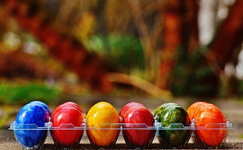 assorted-color eggs on tray thumbnail