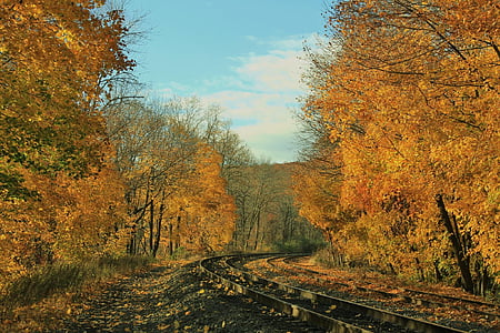rail track between yellow trees thumbnail