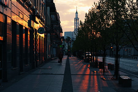 Person Walking on Gray Pavement Near Buildings during Golden Hour thumbnail