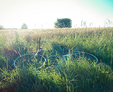 black and white bike on grass field during day thumbnail
