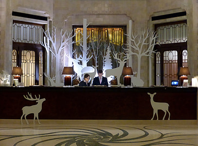 man and woman standing on front desk with white reindeer decors thumbnail