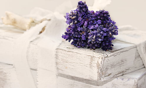 purple petaled flowers on white wooden board thumbnail