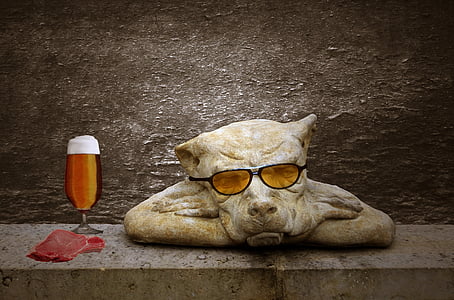 brown dog with sunglasses thumbnail