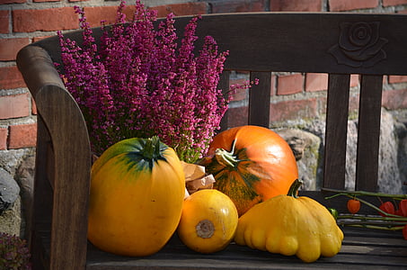 fruits on top of bench thumbnail