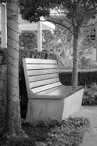 bench between trees and hedge thumbnail