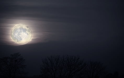 scenery of full moon during night time thumbnail