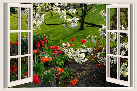 assorted flowers thumbnail