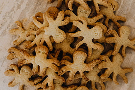 Octopus Cookies thumbnail