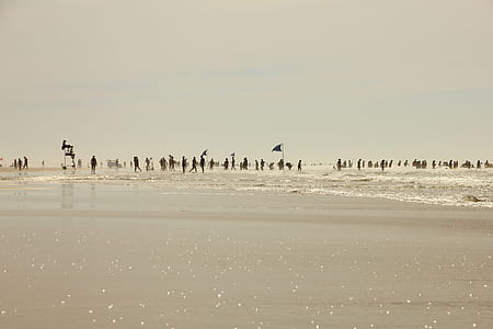 silhouette of people on body of water thumbnail
