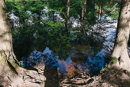 Pond thumbnail