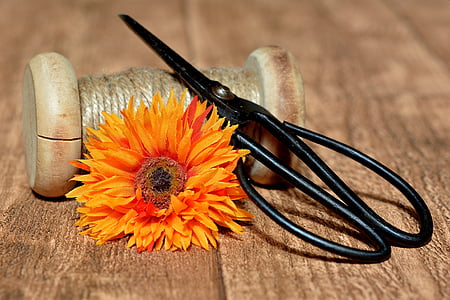black metal scissor beside orange daisy on brown surface thumbnail