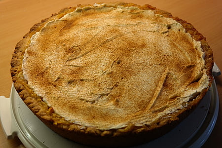 brown pie on white ceramic plate thumbnail